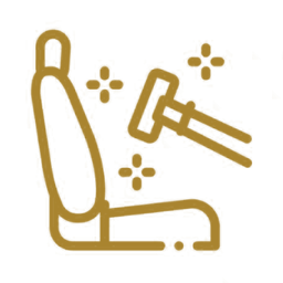 Texas Proper Detailing logo